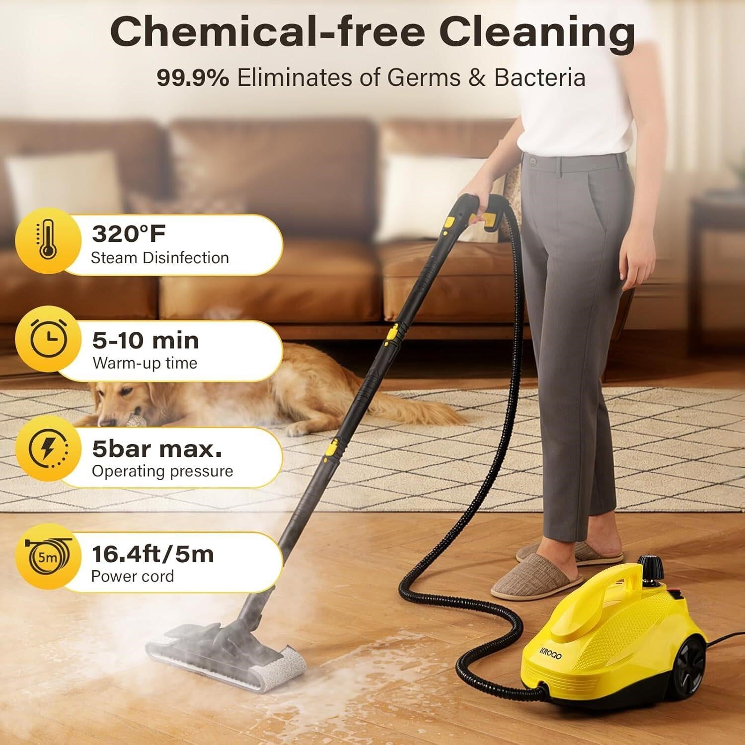 1500W Steam Cleaner with Kit